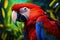 Colorful scarlet macaw parrot in jungle