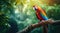 Colorful scarlet macaw parrot in jungle
