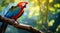 Colorful scarlet macaw parrot in jungle