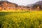 Colorful scenic landscape of blooming mustard field and old charming chinese village. Yellow flowers in full bloom in sunset light