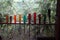 Colorful screwdrivers in a row