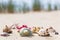 Colorful sea shells sandy beach