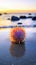 A colorful sea urchin on the beach, AI