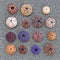 Colorful sea urchins collection on wet sand beach, top view closeup