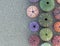 Colorful sea urchins shells on wet sand beach top view