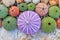 Colorful sea urchins and shells on white rock and pebbles beach