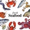 Colorful seafood banner, poster design with place for text
