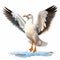 Colorful Seagull Clipart With Detailed Character Design