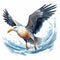 Colorful Seagull Clipart With Detailed Realistic Illustration
