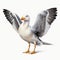 Colorful Seagull Clipart With Realistic Illustration On White Background