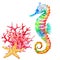 Colorful seahorse, red coral and starfish, watercolor