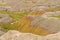 Colorful Sediments in the Badlands