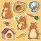 Colorful set of cute hamsters and objects, stickers