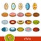 Colorful set of oval shape objects. Visual dictionary