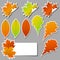 Colorful set of stickers autumn leaves