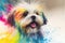 Colorful Shih Tzu dog painting