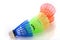 Colorful shuttlecocks for badminton