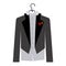 colorful silhouette cartoon costume groom