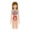 Colorful silhouette female person with internal organs system of human body