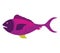 Colorful silhouette with sea fish purple