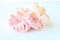 Colorful silk Scrunchy isolated on white background. Flat lay Hairdressing tool of Colorful Elastic Hair Band, Bobble Scrunchie