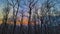 Colorful sky through the trees at blue mounds state park at the sunset tower