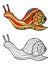Colorful snail and snail in black and white for coloring book. Pattern in doodle style. Vector illustration