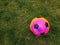 Colorful soccer ball in grass