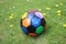 Colorful soccer ball in a grass field with dandel