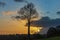 A colorful spectacle is created around the silhouette of this tree after the setting sun has disappeared behind a rainstorm near M