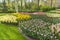 A colorful spectacle with different types of hyacinths, tulips and daffodils in a park in Lisse, Netherlands