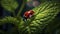 Colorful Spotted Beetle on Leaf in Nature. Generative AI