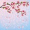 Colorful spring background with sakura blossom - J