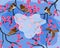 Colorful spring background with sparrows sitting on sakura branches vector