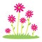 Colorful spring daisy flowers Vector illustration. grass and wild flowers isolated background. Spring grass border with