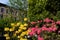 Colorful Spring Flowers and Plants at Van Vorst Park with Old Brownstone Homes in the background in Jersey City New Jersey