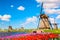 Colorful spring landscape in Netherlands, Europe. Famous windmills in Kinderdijk village with a tulips flowers flowerbed in