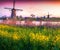 Colorful spring scene in the famoust Kinderdijk canals with wind