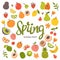 Colorful spring seasonal fruits background