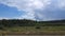 Colorful spring summer landscape on forest with beautiful clouds in the sky, shooting from a car that goes on the road along