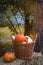 Colorful squashes and pumpkins in the basket on the ground with the hay stacks, selective focus