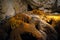 Colorful stalactites and stalagmites in Demanovska cave of Liberty, jaskyna slobody Slovakia, Geological formations