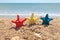 Colorful starfish on the beach