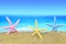 Colorful starfishes on the beach