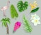 Colorful stickers Tropical plants and flamingo set. Summer holliday and tropical vacation concept.