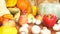 Colorful still-life. Autumn harvest. 4k. moving focus. close-up