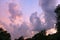 Colorful storm clouds partially framed by trees at sunset