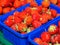 Colorful Strawberry on the market