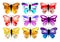 Colorful striking butterflies x 9