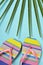 Colorful striped-patterned flip-flops